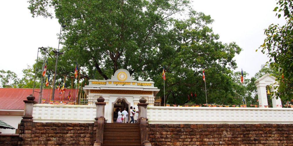 sri maha bodhiya- Anuradhapura