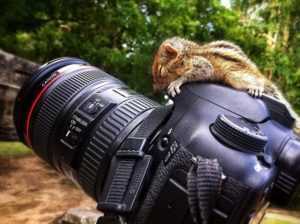 Photographer 