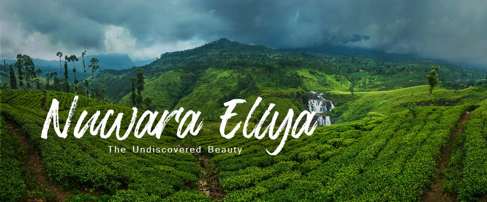 things-to-do-in-nuwara-eliya